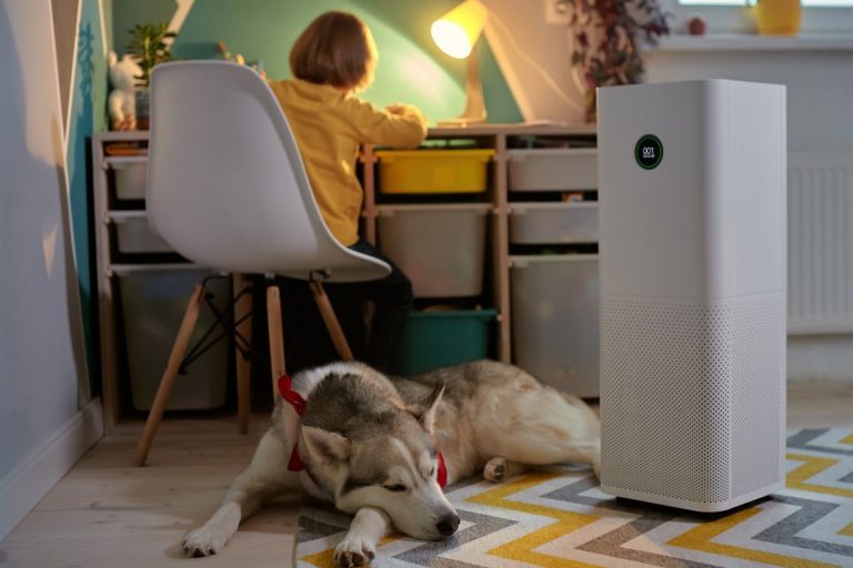 Do Air Purifiers Remove Smells? (Can An Air Purifier Remove Odours From