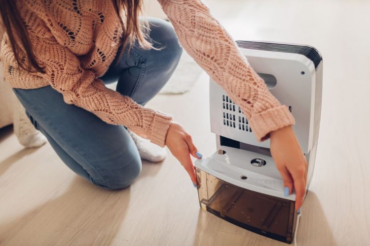Do Dehumidifiers Use A Lot Of Electricity (Is Dehumidifier Expensive To